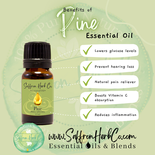 What's the Deal with Pine Essential Oil?