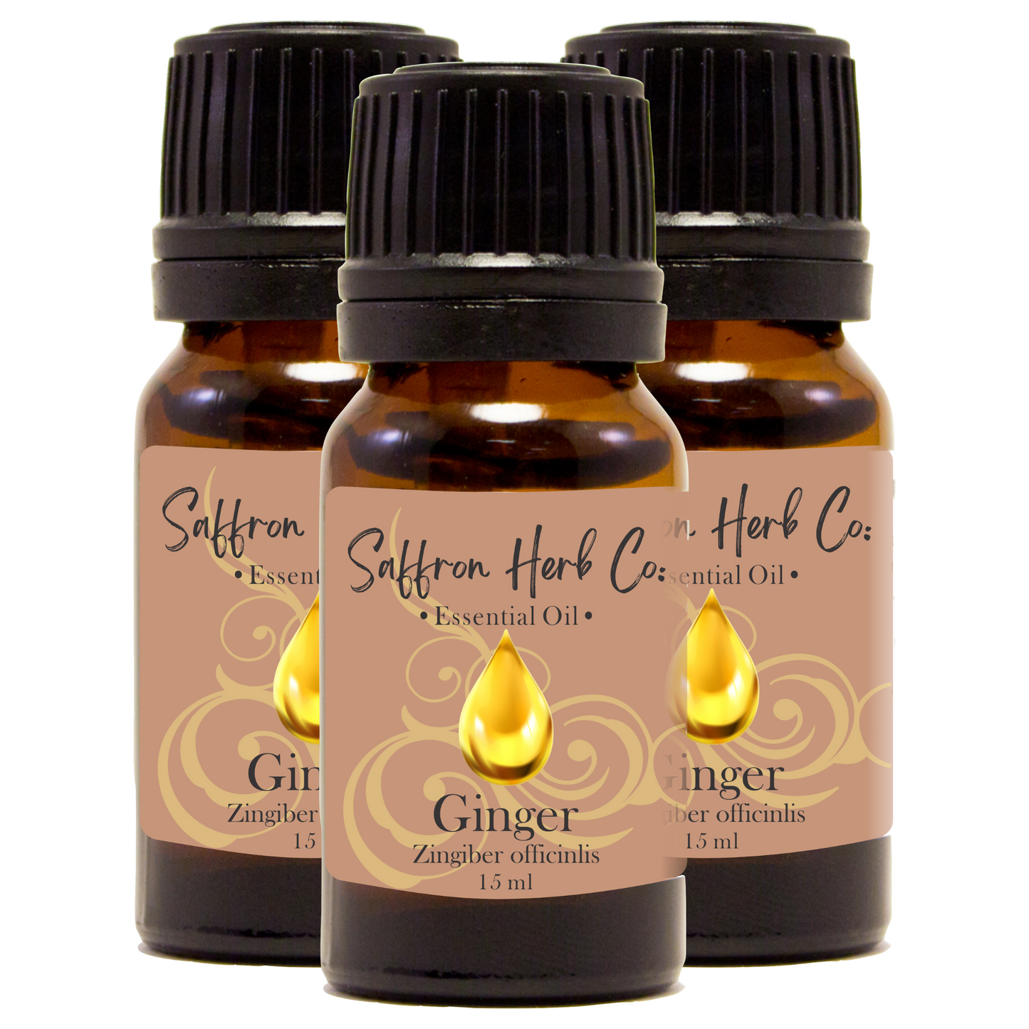 Ginger Essential Oil